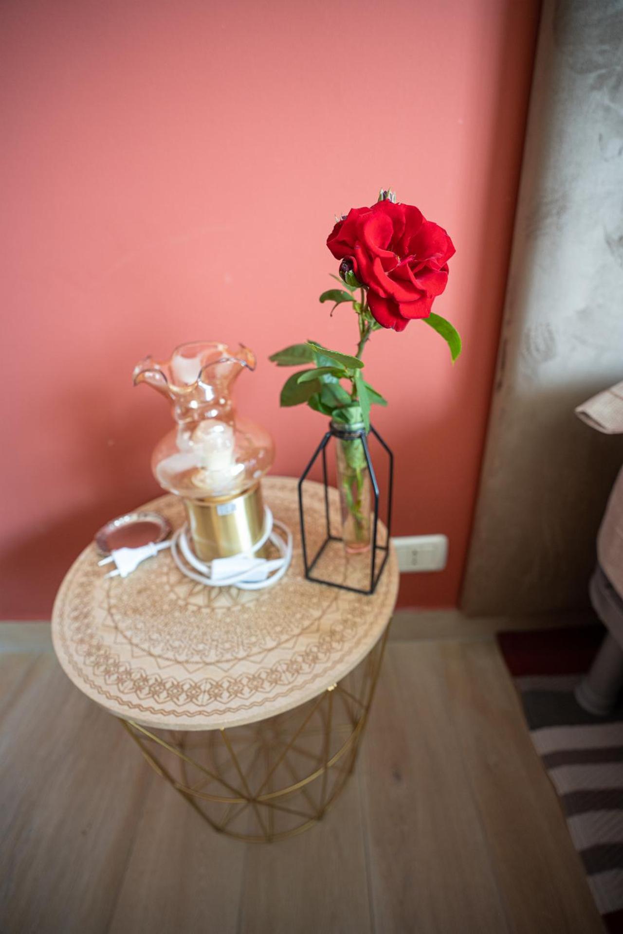 Bed and Breakfast Ca'Du Lin - Jacuzzi Cisterna d'Asti Екстер'єр фото